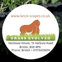 Artificial Grass Newport 1110703 Image 5