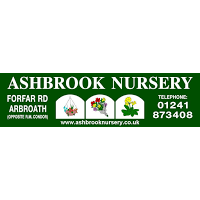 Ashbrook Nursery 1124163 Image 5