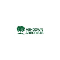 Ashdown Arborists 1106173 Image 2