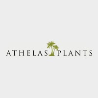 Athelas Plants 1131419 Image 4