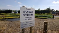 Avonbank Nurseries 1125709 Image 2