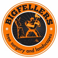 BIGFELLERS 1121511 Image 0