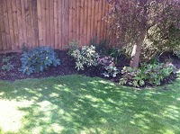BMA GARDENING SERVICES 1113445 Image 2