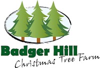 Badger Hill Christmas Tree Farm 1118167 Image 3