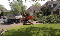 Bailey Tree Services 1106044 Image 0