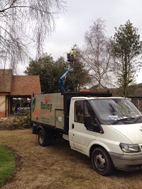 Bailey Tree Services 1106044 Image 5