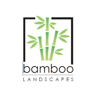 Bamboo Landscapes 1123164 Image 3
