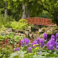 Batsford Arboretum and Garden Centre 1106970 Image 0