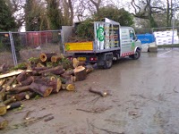 Beaufell Tree Services 1118086 Image 1
