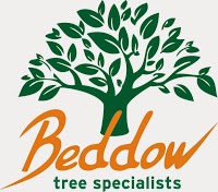 Beddow Tree Specialists   Quality Tree Care 1112628 Image 3