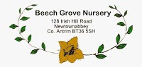 Beech Grove Nursery 1111858 Image 3