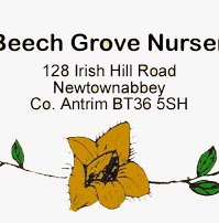 Beech Grove Nursery 1111858 Image 5