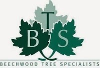 Beechwood Tree Specialists 1118507 Image 0