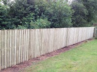 Beechwood Tree Surgery and Fencing 1103710 Image 3