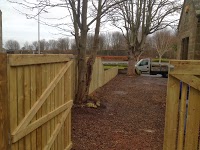 Beechwood Tree Surgery and Fencing 1103710 Image 6