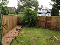Beechwood Tree Surgery and Fencing 1103710 Image 7