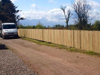 Beechwood Tree Surgery and Fencing 1103710 Image 8