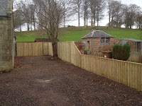 Beechwood Tree Surgery and Fencing 1103710 Image 9