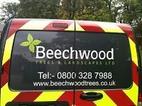 Beechwood Trees and Landscapes Ltd 1121847 Image 2