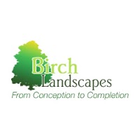 Birch Landscapes 1128702 Image 6