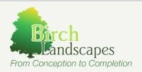 Birch Landscapes 1128702 Image 7
