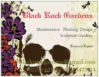 Black Rock Gardens 1117001 Image 0
