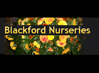 Blackford Nurseries Hartlepool 1104949 Image 6