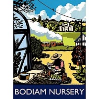 Bodiam Nursery 1104888 Image 3