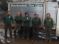 Brackendale Tree Care 1108783 Image 8