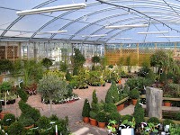 Brackenwood Plant and Garden Centre 1104925 Image 5