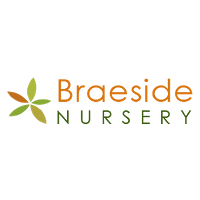 Braeside Nursery 1121295 Image 1