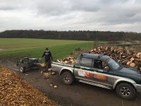 Branching Out Tree Services Oxford 1122858 Image 1