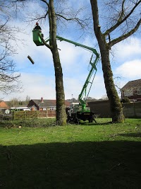 Branching Out tree services 1118254 Image 2
