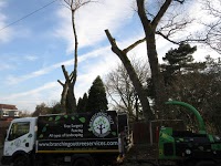 Branching Out tree services 1118254 Image 4