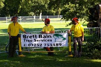Brett Bain Tree Service 1115413 Image 6