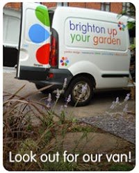 Brighton Up Your Garden 1115804 Image 9