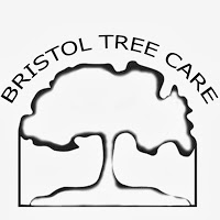 Bristol Tree Care 1116440 Image 0