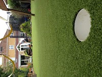 Bristol artificial grass 1110167 Image 4