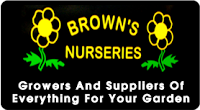 Browns Nurseries 1128973 Image 0