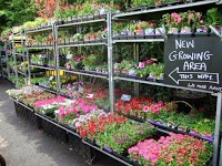 Bunkers Hill Nursery and Flower Shop 1124238 Image 5