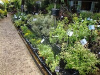 Bunkers Hill Nursery and Flower Shop 1124238 Image 7
