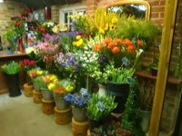 Bunkers Hill Nursery and Flower Shop 1124238 Image 8