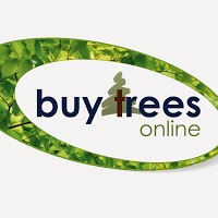 Buy Trees Online 1116317 Image 1