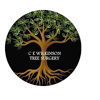 C E Wilkinson Tree Surgery 1130771 Image 2