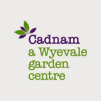 Cadnam, a Wyevale Garden Centre 1115772 Image 4