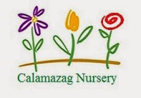 Calamazag Nursery 1127390 Image 6