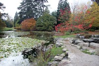Cambridge University Botanic Garden 1126053 Image 2