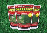 Canada Green Grass Seed 1124360 Image 1