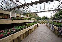 Cannon Hall Garden Centre and Thyme Bistro 1120472 Image 1