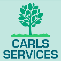 Carls Services 1119857 Image 4